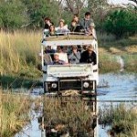 Safari in Botswana