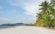 Palmenstrand Bild Palmenstrand