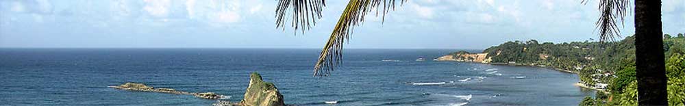 Palmstrand Bild Strand
