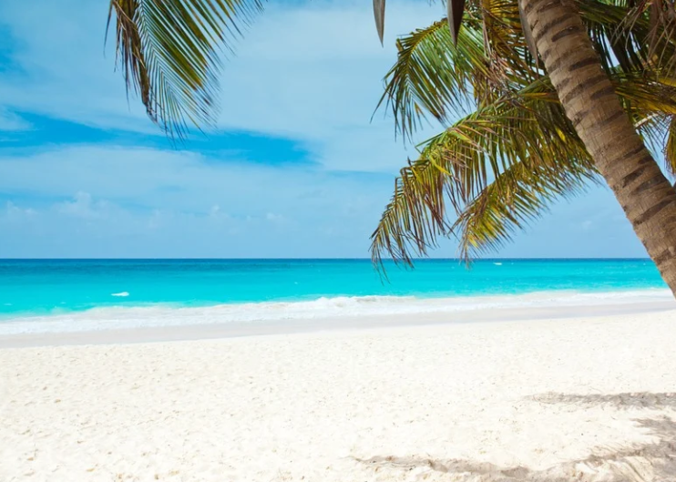 Allinkl Karibik Urlaub mit Palmen