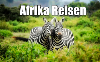 Afrika Reisen Safari Tour