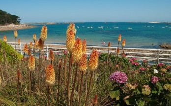 Bretagne Camping Reisen