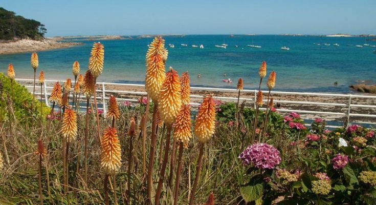 Bretagne Camping Reisen