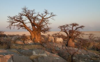 Botswana